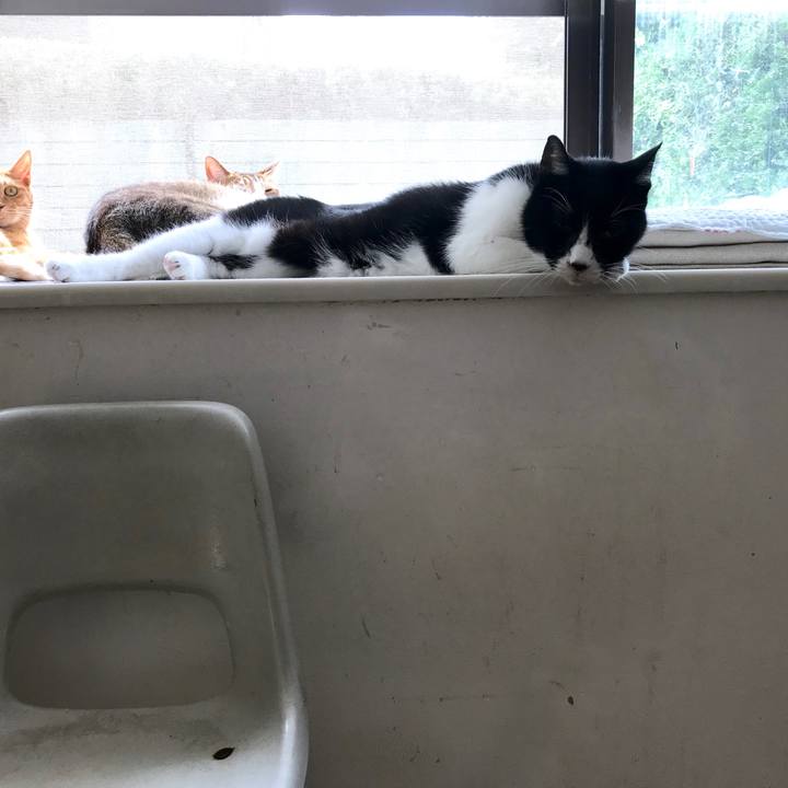 D4ed8cc8 14d8 43b0 8fc0 c79b3d7267d5 1537669933918