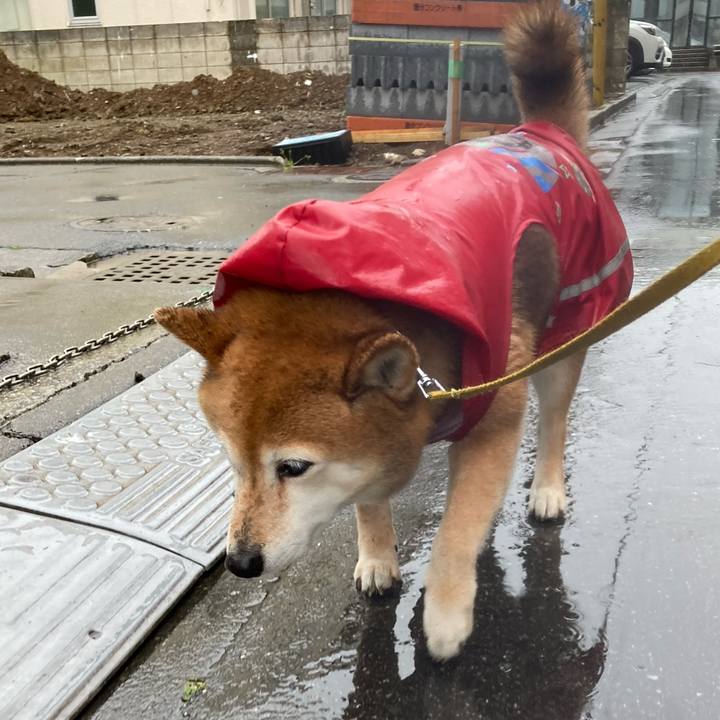 D4edca26 d0fa 4b49 90c5 c397b9c7f15b 1650963604422