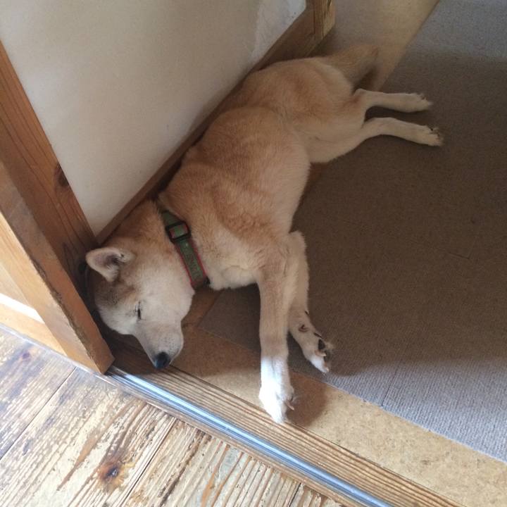 D4edf04a b34c 4063 aa29 a15f05322b19 1561610160915