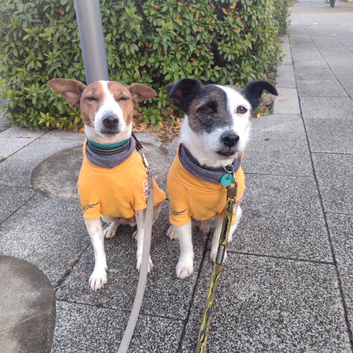 D4edf695 3084 4e76 8cbb 25a60844ee69 1705963849288