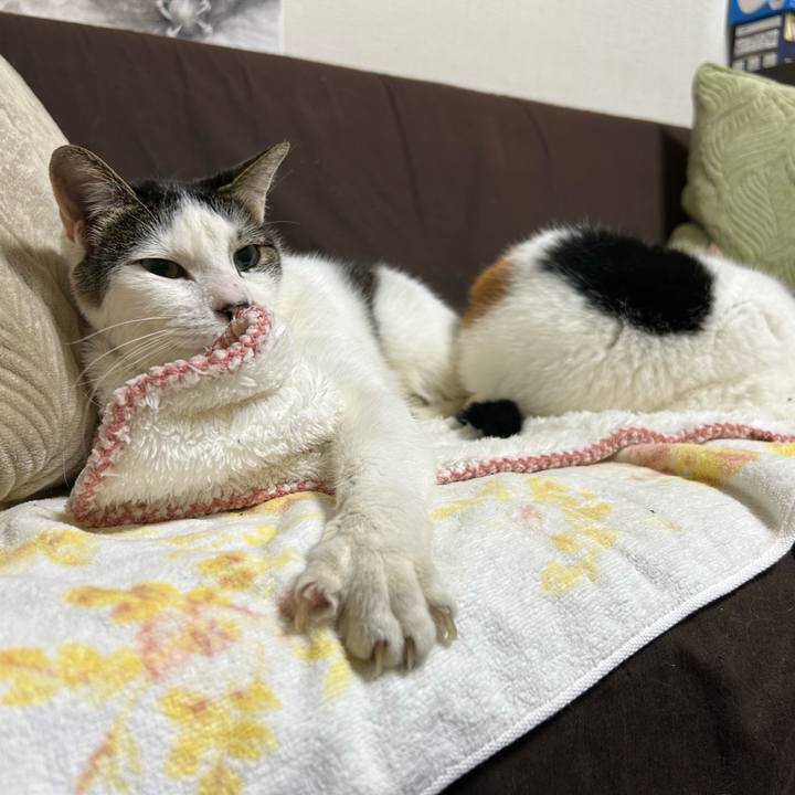 D4ee059a 2468 4ef3 a90f f1ec5c4ff032 1728526863248