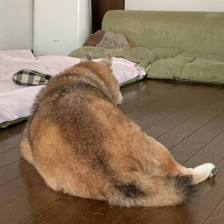 D4ee4434 3762 47ba adab c3a1e97096fc 1659847439994