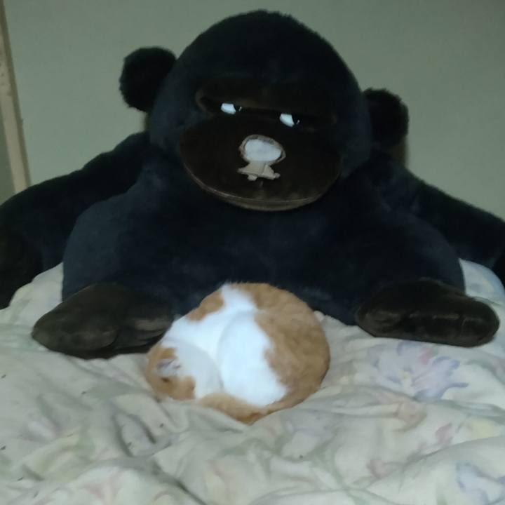 D4ee80b4 6323 42d3 9d95 8c9f4a772844 1763292129920