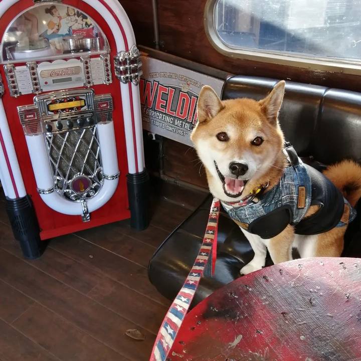 D4ee8ad6 fdca 495d 81a9 9e7d30c50654 1669607434835