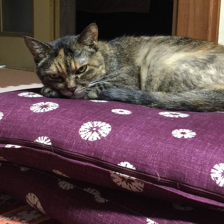 D4eebbde 2f3b 4d7f 9620 d91ac686e31b 1567165214013