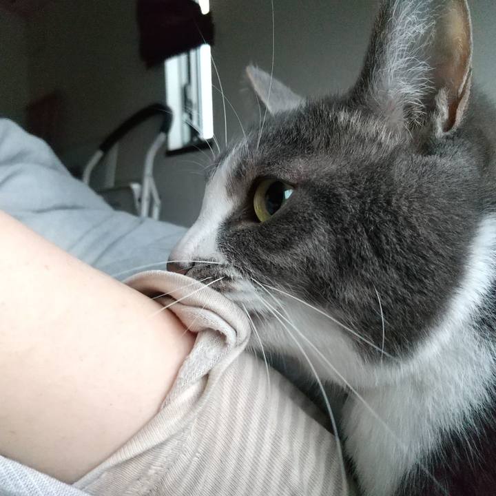 D4eebe56 b199 432c 87f3 1b485ceee5f5 1650409149638