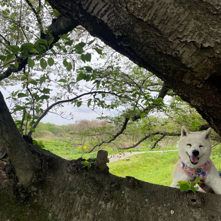 D4eedc3f 4366 4571 91fb f99cd5294d12 1745122080702