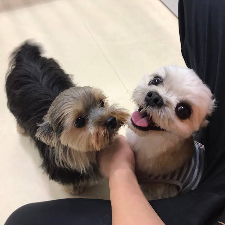 D4ef4089 fe27 403b 91d7 5999763191cb 1696323596029