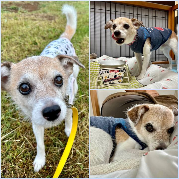 D4ef8de9 0fa5 4907 a434 31859e48040c 1695335103639