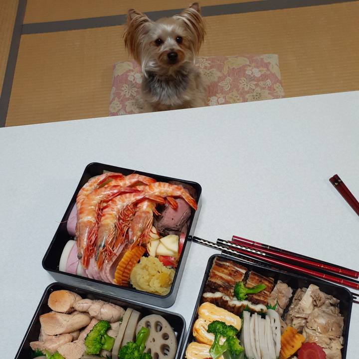 D4f05baf 7e13 4382 bb02 63ff23c8e92b 1577916356661