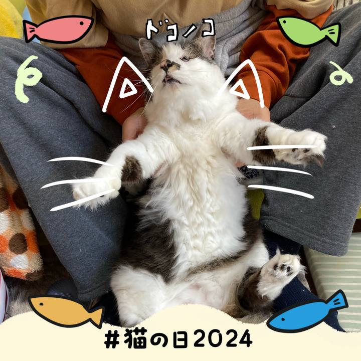 D4f06a8d 8a7c 415c 9ef2 96a990f75e98 1708540903669