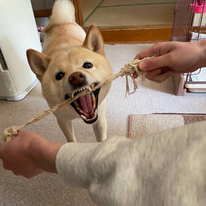 D4f06bc9 88a4 47d5 a082 ab627659f5b8 1678765962031