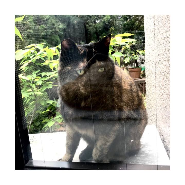 D4f0d11a c49c 4c45 a4ec a685902a909c 1650882271686