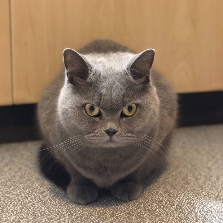 D4f0e5bd 4d6b 470d a242 dcd2d9d87d1b 1578314767811