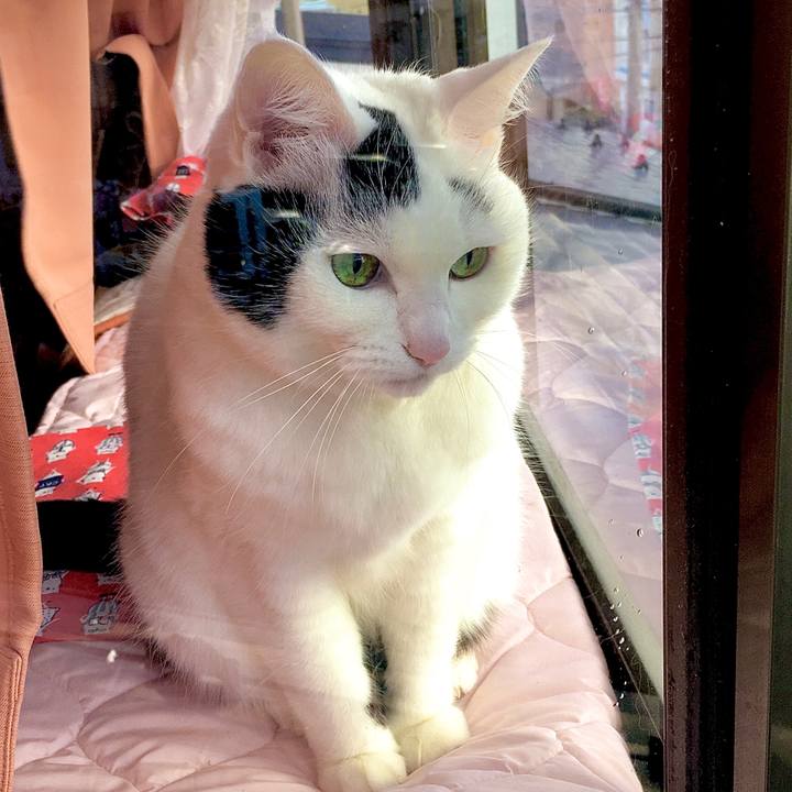 D4f11601 6ff1 4992 a28b 9c56e00cab01 1580195574830