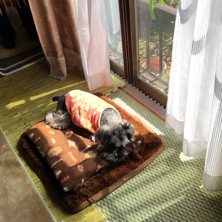 D4f12df1 9c63 48b3 ad33 0dc3a177d903 1554645653902