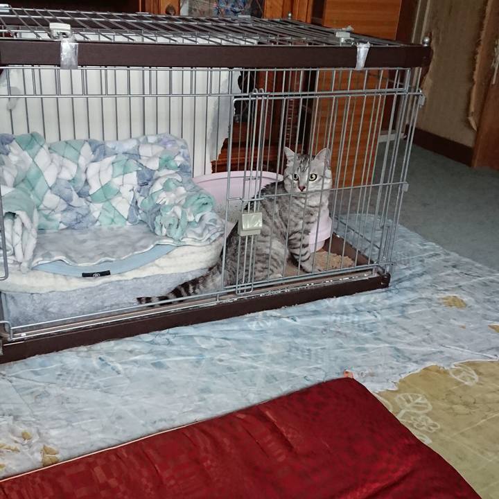 D4f139c0 5bd6 458d b564 0de46a01fbcf 1559088416767