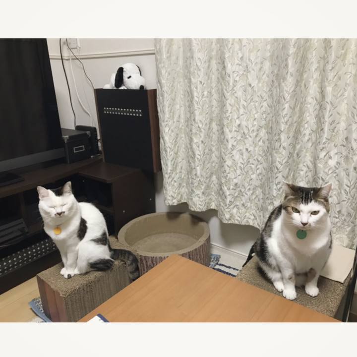 D4f147da 1328 4ef8 bedf 0e3ce076867a 1548041807629