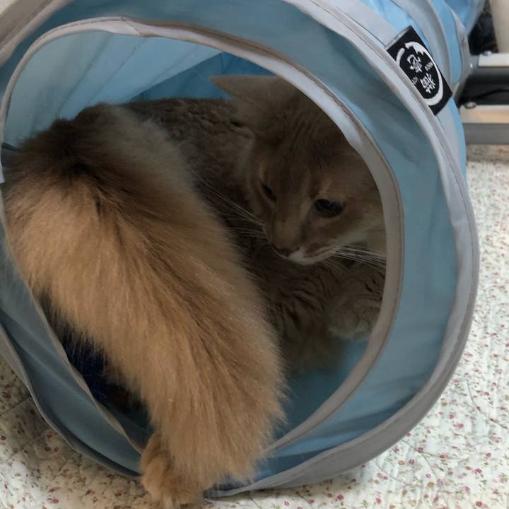 D4f15437 46c8 4370 a3f6 b08b01ed0376 1601451735143