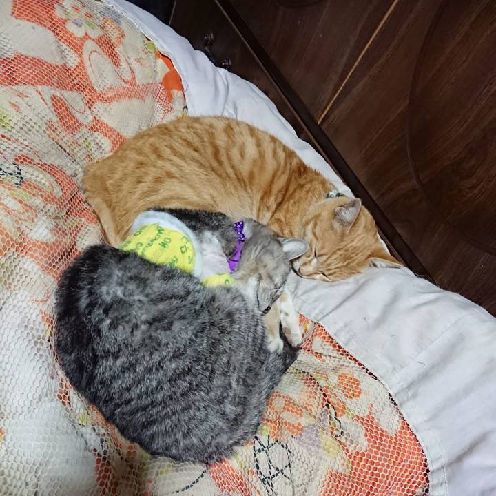 D4f1751e fc5a 401b 9fc2 4a8b770ef55c 1586438866671