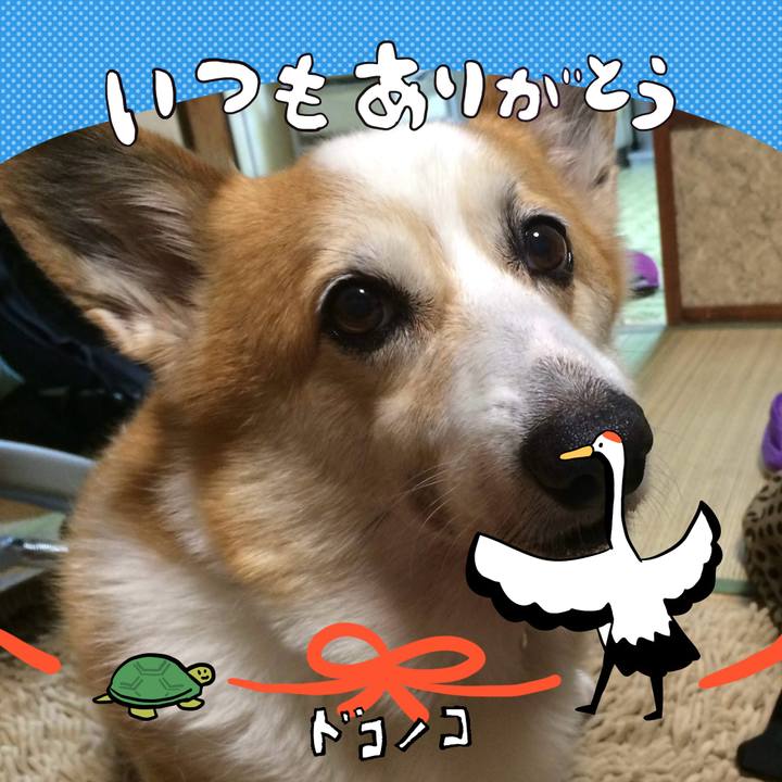 D4f17cea dc72 4163 a5be b69f62ae1591 1727315926165