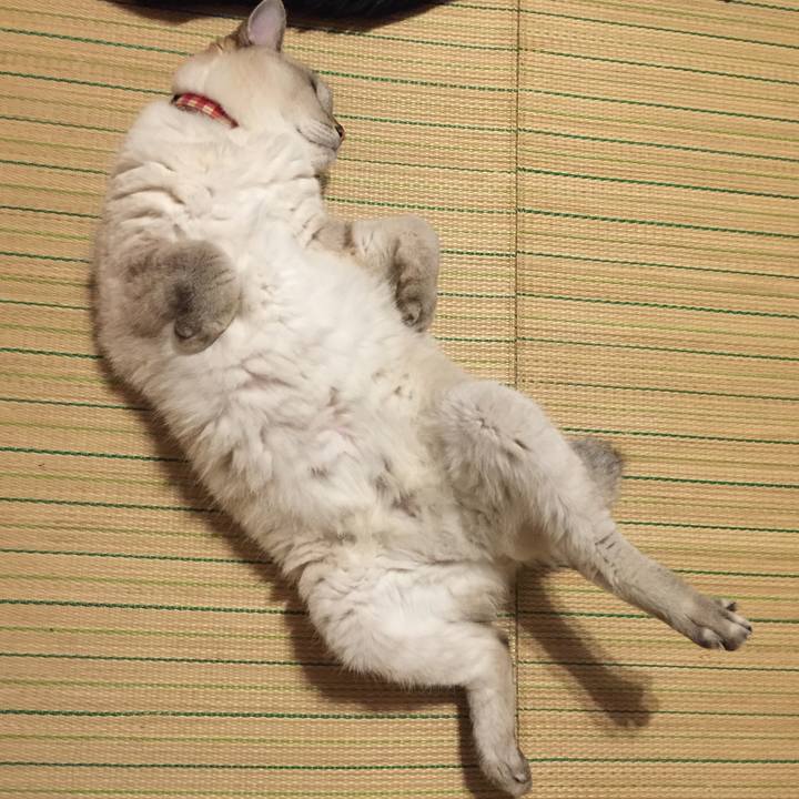 D4f19518 e3d9 460d b168 e3c70e014ac0 1570097979579