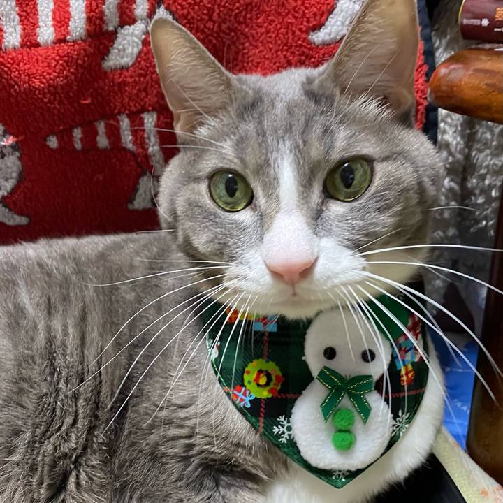 D4f1969d 1a76 444d b006 0e59ffe36452 1734860451689