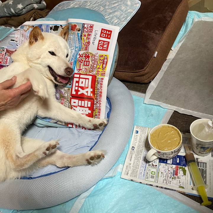 D4f1987c 5cfd 4ea2 8377 6a24a79a70a5 1654533945420