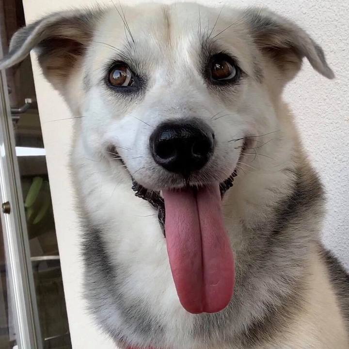 D4f1cf8b d287 426b b44d 0497c26227ab 1565525862026