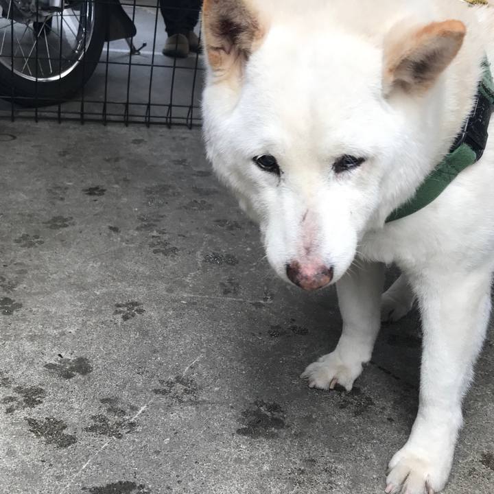 D4f226f7 f885 4894 b278 1727cde68e98 1557110061807