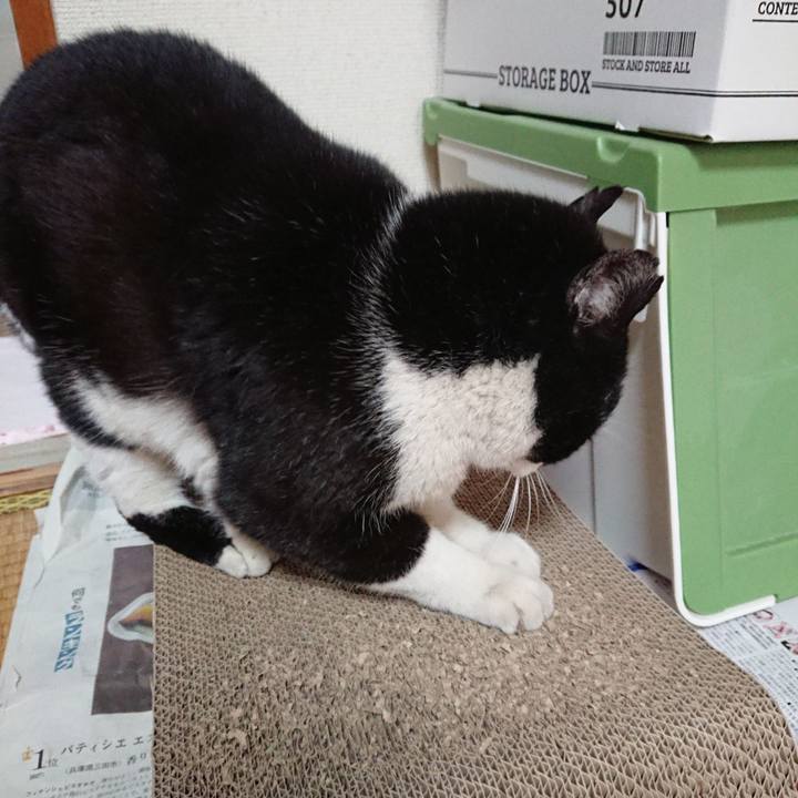 D4f22751 c6b2 40ff aa92 c168b69540de 1644588105563