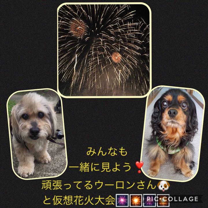 D4f22cc1 df1a 4055 8c7d b26516609b1b 1533389442378