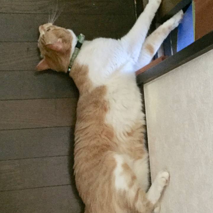 D4f2374b 6921 44f1 95ea 9bc53979507d 1628563838182