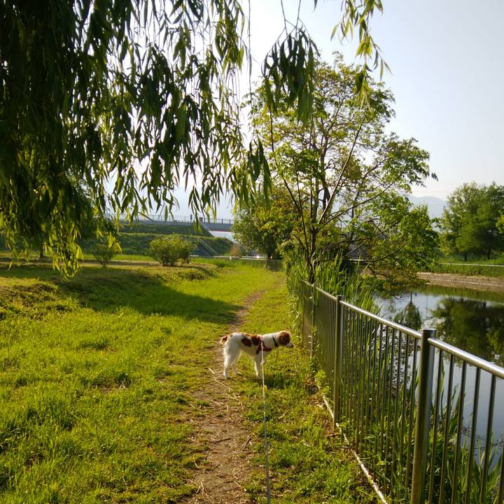 D4f267ec 266d 418b 96fd 925851f4fffb 1524873390176