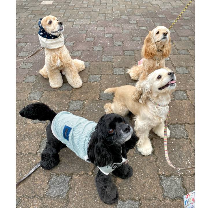 D4f316fc 5406 4d8b a457 609a941e234e 1716176902848