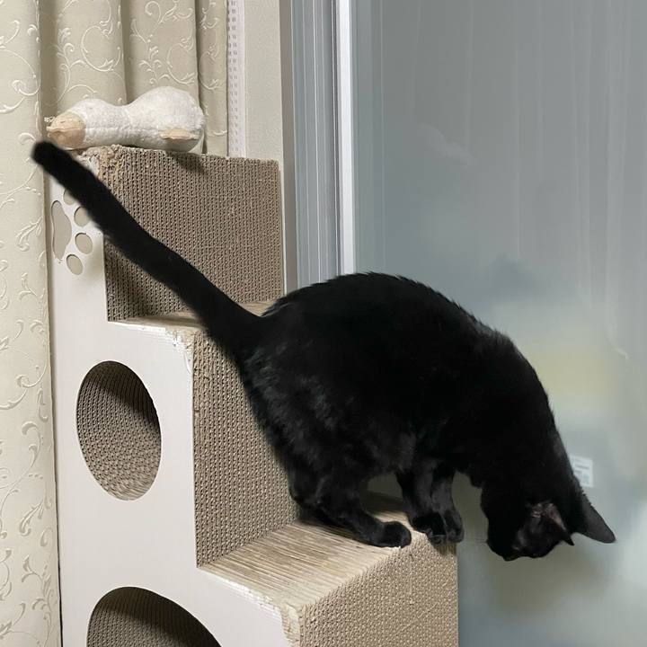 D4f31a89 0f0a 43bf 9b4c bb32a4a3f1f6 1774357157385