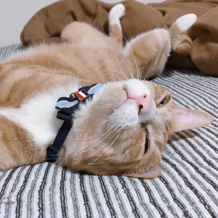 D4f3467d 49e9 40ca bf90 31d5f3653630 1567337978549