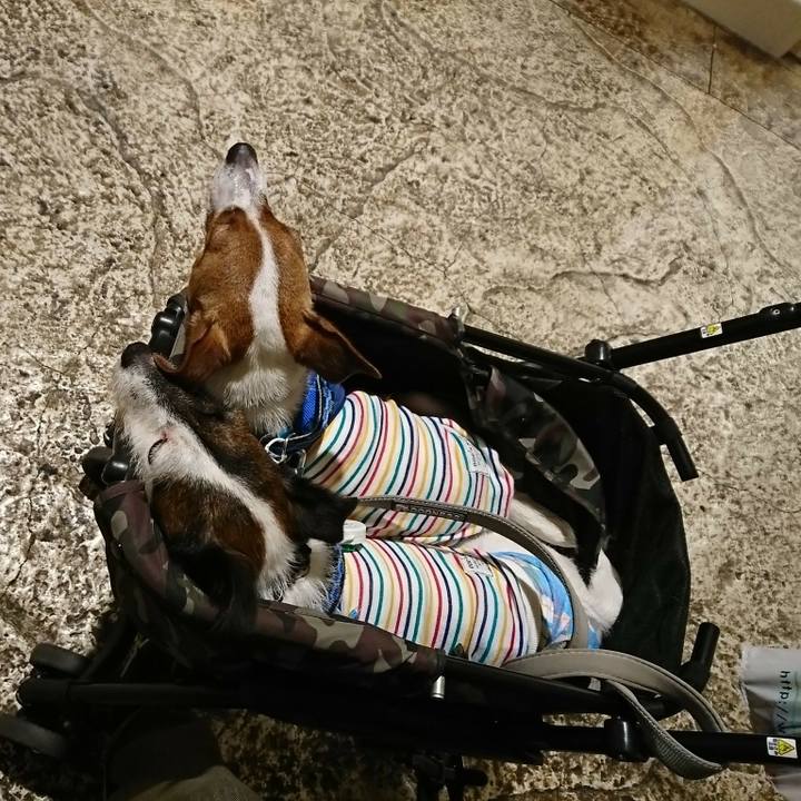 D4f35d7e dc6d 4b5c b0d2 de5e2eb1be52 1529480385641