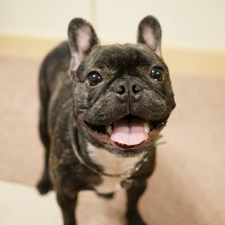 D4f38507 f179 4b96 b58d fe16701311b7 1510314558739