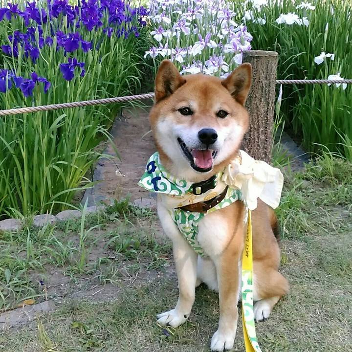 D4f39a33 48f2 495b b2e0 7d951a3debcb 1559811833930