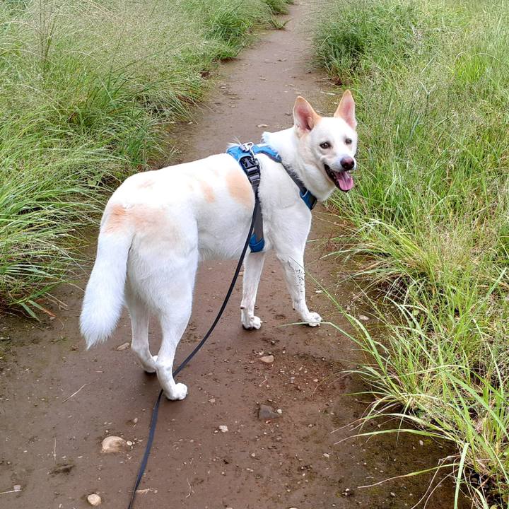 D4f39f2c 4f11 4506 b7c3 5aceffe60733 1632617863140