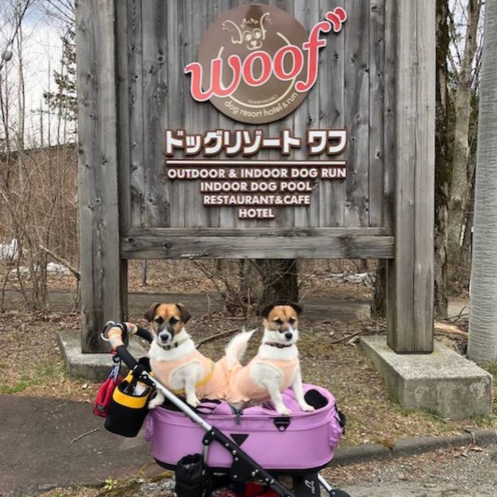 D4f40057 3faf 4385 80be 600b69fe9b40 1555219798298