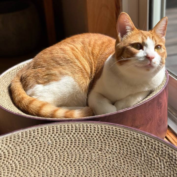 D4f425c5 088a 4a44 adaf b02bc449eba3 1773035973442