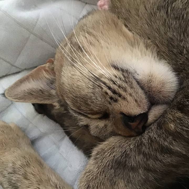 D4f42ffd 3b53 4012 b230 7df7b83483f7 1590039103958