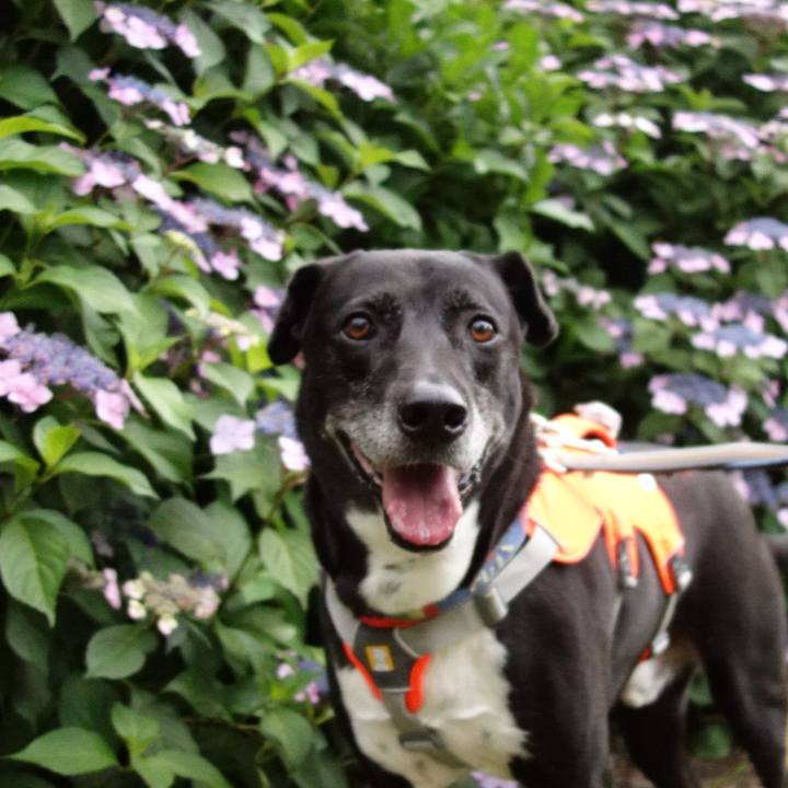 D4f46c69 b892 4fad 94ce 7f79065e122c 1717239854363