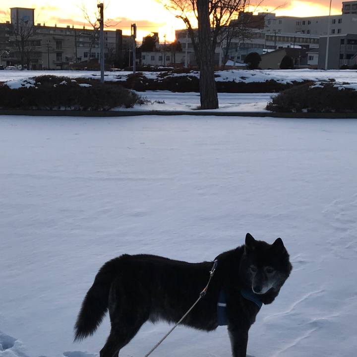 D4f4725f 0424 4013 b4bd 714f1f7ade3d 1581765728789