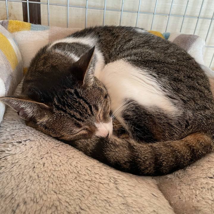 D4f47323 68f8 4b50 b92c a31cc4d52153 1632447766640