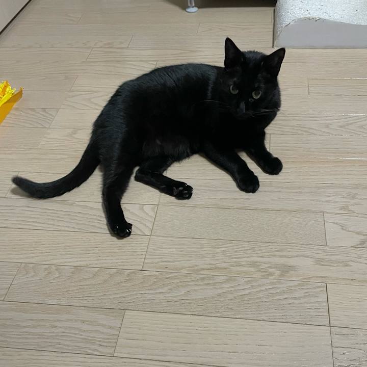 D4f489a8 47e0 4812 8ccf e9a02457de86 1744986590459