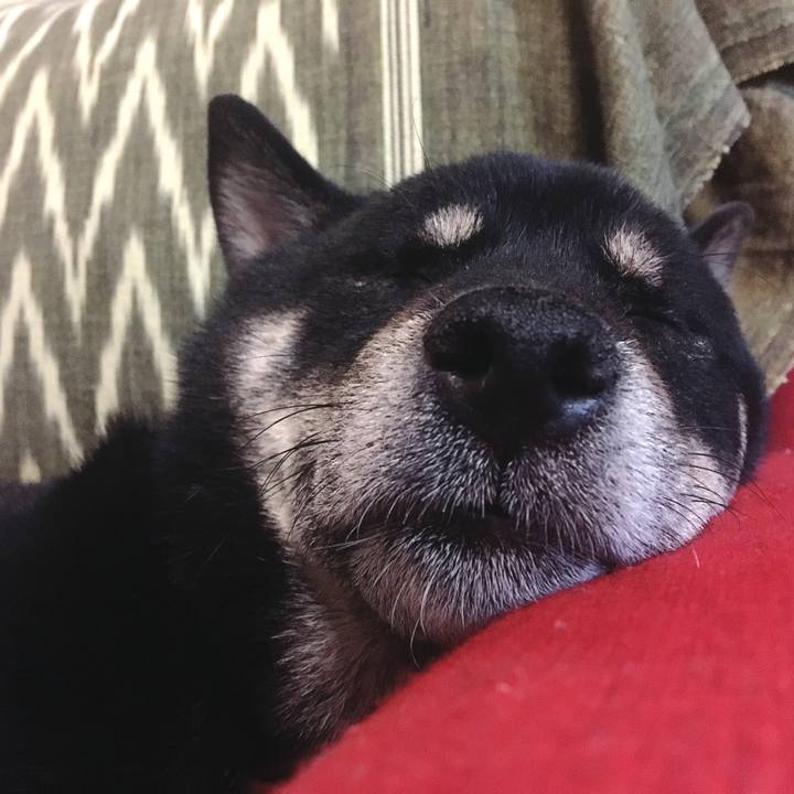 D4f4ae30 031a 4c4e 9f90 07d5a44900f1 1542035068525