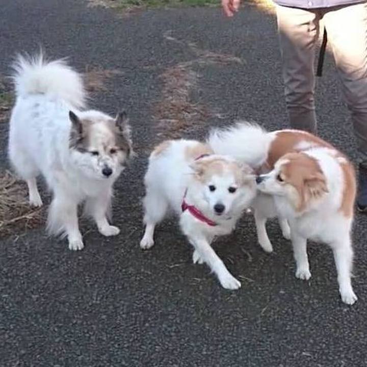 D4f4c1f8 0af4 46ec bce9 f21413d07ff8 1672055986491